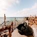 Thumbnail 38