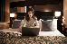 Thumbnail 40