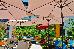Thumbnail 22