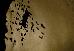 Thumbnail 24