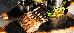 Thumbnail 39