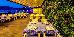 Thumbnail 66