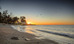 Thumbnail 60