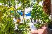 Thumbnail 55