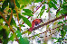 Thumbnail 24