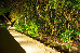 Thumbnail 25