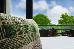 Thumbnail 22