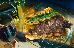 Thumbnail 57