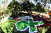 Thumbnail 29