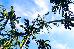Thumbnail 27