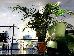 Thumbnail 36