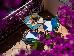 Thumbnail 62