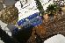 Thumbnail 27