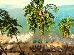 Thumbnail 23