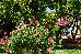 Thumbnail 196