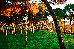 Thumbnail 83