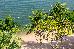 Thumbnail 61