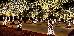 Thumbnail 22