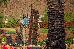 Thumbnail 31