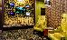 Thumbnail 36