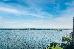 Thumbnail 150