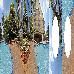 Thumbnail 51