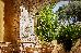 Thumbnail 26