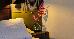 Thumbnail 23