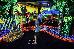 Thumbnail 295