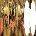 Thumbnail 46