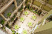 Thumbnail 29
