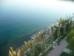 Thumbnail 60