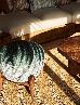 Thumbnail 44