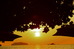 Thumbnail 48