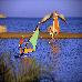 Thumbnail 93