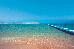 Thumbnail 68