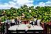 Thumbnail 60