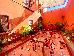 Thumbnail 41