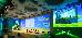 Thumbnail 54