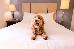 Thumbnail 31