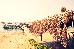 Thumbnail 35