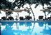 Thumbnail 47
