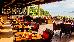 Thumbnail 73