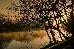 Thumbnail 24