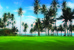 Thumbnail 72