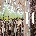 Thumbnail 60