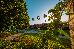 Thumbnail 35