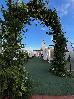 Thumbnail 34