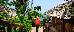 Thumbnail 29