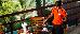 Thumbnail 42